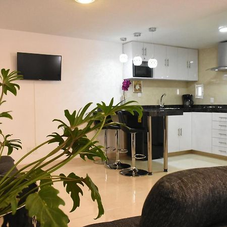 Departamento Alejandro - Completo Y Amplio Departamento En Una Zona Muy Tranquila De La Cdmx Città del Messico Esterno foto